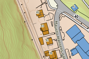 Kartbilde fra WMS-tjeneste av avviket