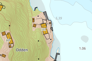 Kartbilde fra WMS-tjeneste av avviket