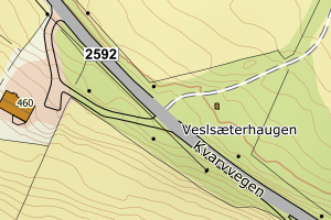 Kartbilde fra WMS-tjeneste av avviket