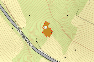 Kartbilde fra WMS-tjeneste av avviket