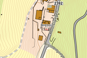 Kartbilde fra WMS-tjeneste av avviket