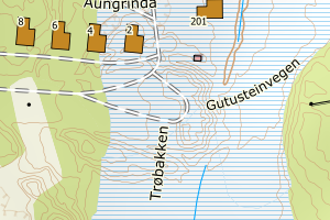 Kartbilde fra WMS-tjeneste av avviket