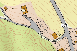 Kartbilde fra WMS-tjeneste av avviket