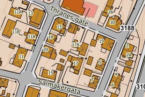 Kartbilde fra WMS-tjeneste av avviket
