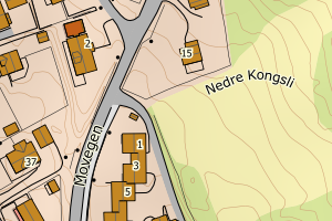 Kartbilde fra WMS-tjeneste av avviket