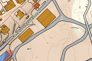 Kartbilde fra WMS-tjeneste av avviket