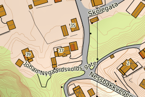 Kartbilde fra WMS-tjeneste av avviket