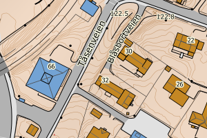 Kartbilde fra WMS-tjeneste av avviket