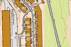 Kartbilde fra WMS-tjeneste av avviket