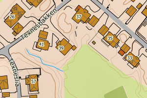 Kartbilde fra WMS-tjeneste av avviket