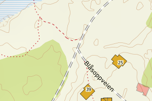 Kartbilde fra WMS-tjeneste av avviket