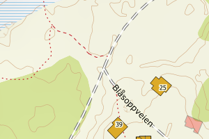 Kartbilde fra WMS-tjeneste av avviket