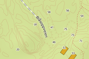 Kartbilde fra WMS-tjeneste av avviket