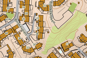 Kartbilde fra WMS-tjeneste av avviket
