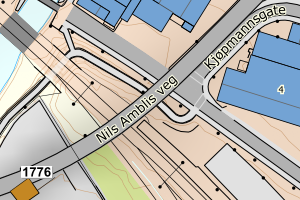 Kartbilde fra WMS-tjeneste av avviket