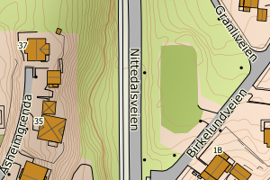 Kartbilde fra WMS-tjeneste av avviket