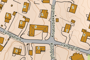 Kartbilde fra WMS-tjeneste av avviket