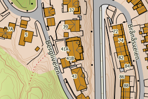 Kartbilde fra WMS-tjeneste av avviket