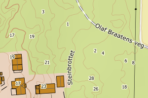 Kartbilde fra WMS-tjeneste av avviket