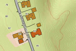 Kartbilde fra WMS-tjeneste av avviket