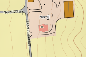 Kartbilde fra WMS-tjeneste av avviket