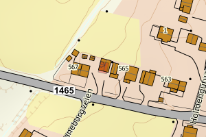 Kartbilde fra WMS-tjeneste av avviket