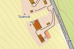 Kartbilde fra WMS-tjeneste av avviket