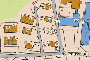 Kartbilde fra WMS-tjeneste av avviket