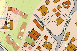 Kartbilde fra WMS-tjeneste av avviket