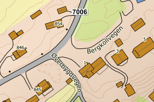 Kartbilde fra WMS-tjeneste av avviket