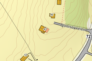 Kartbilde fra WMS-tjeneste av avviket