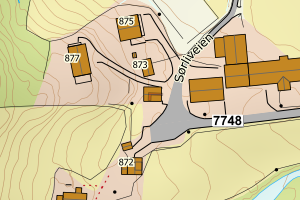 Kartbilde fra WMS-tjeneste av avviket