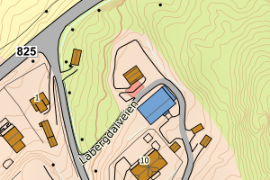Kartbilde fra WMS-tjeneste av avviket