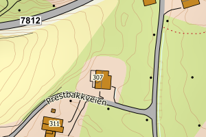 Kartbilde fra WMS-tjeneste av avviket