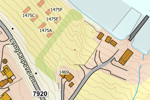 Kartbilde fra WMS-tjeneste av avviket