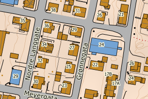 Kartbilde fra WMS-tjeneste av avviket